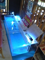 ドクターフィッシュイベント