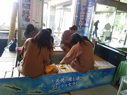 ガラルファ/ドクターフィッシュ