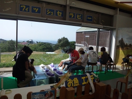 ガラルファ/ドクターフィッシュ