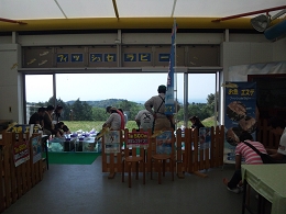 ガラルファ/ドクターフィッシュ