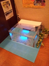 ガラルファ/ドクターフィッシュ