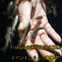 FishSpa全国代理店大募集